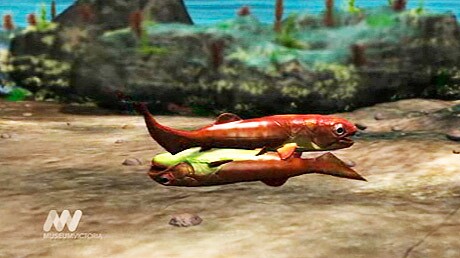Early fish having sex