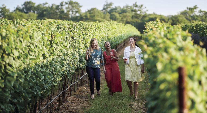 TravelTexasSponsorship_23_TX_Winery2386th_RGB_2000.jpg