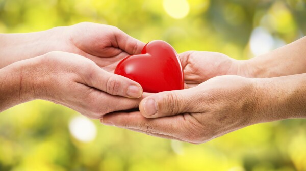 Red heart in human hands