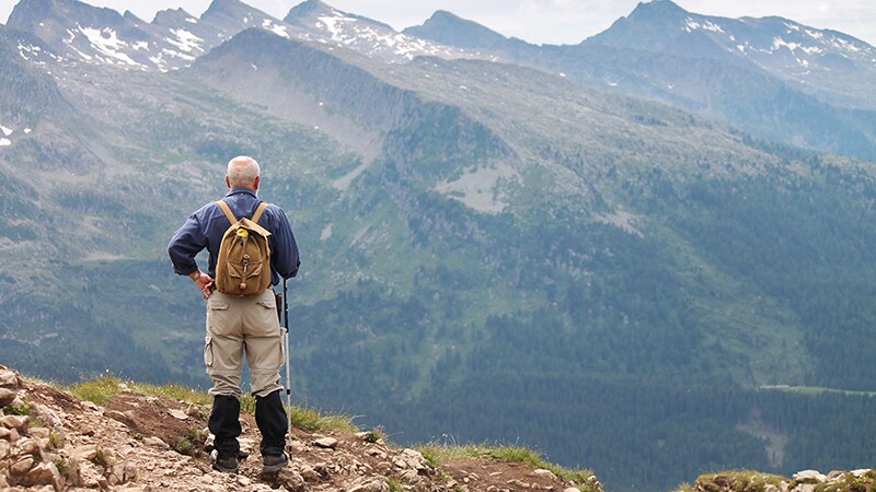 Rear view of a male hiker standing and looking at mountains
