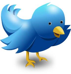 Twitter bird