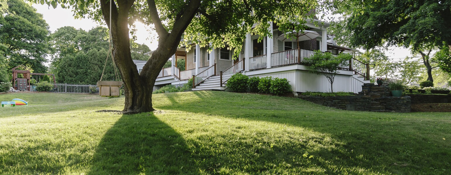 Backyard Summer With Tree Swing And Porch