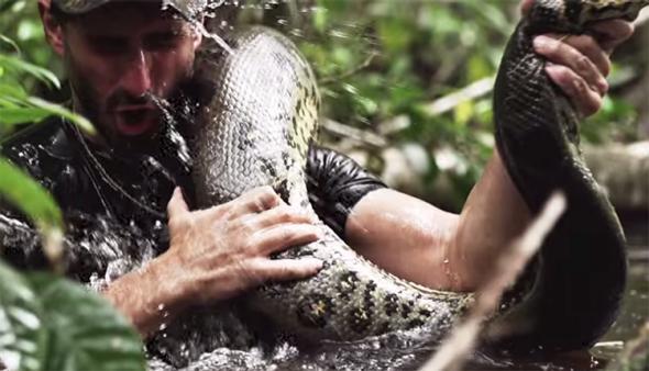 Anaconda - Eaten Alive - Discovery Channel