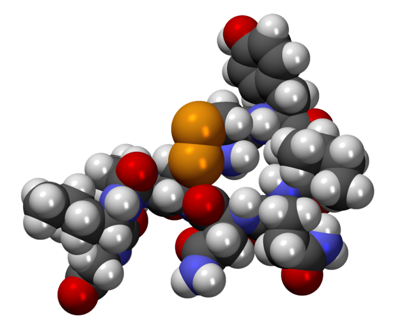 1024px-OxitocinaCPK3D