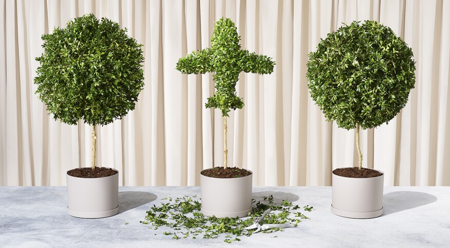 a topiary cut in the shape of a plane between two sphere topiaries