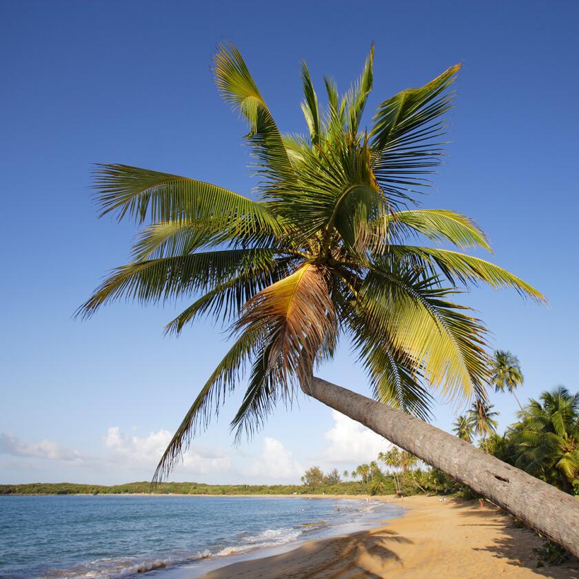 Tres Palmitas Beach in Loiza, Puerto Rico