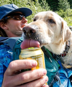 A sneaky pup grabs a lick of his owner's beer during a fly fishing float in Idaho.