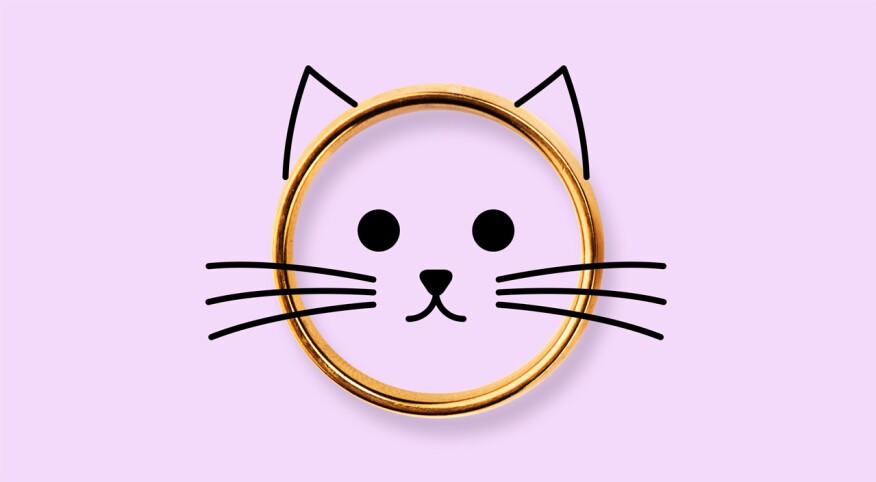 image of wedding ring with illustration of cat over it, marriage