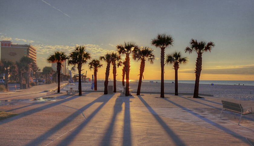 Sunrise Behind the Palm Trees