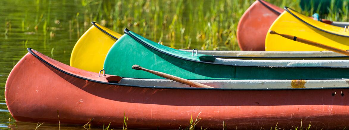 I still go back to summer camp as an adult, photo of canoes 