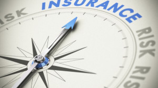 Insurance risk compass