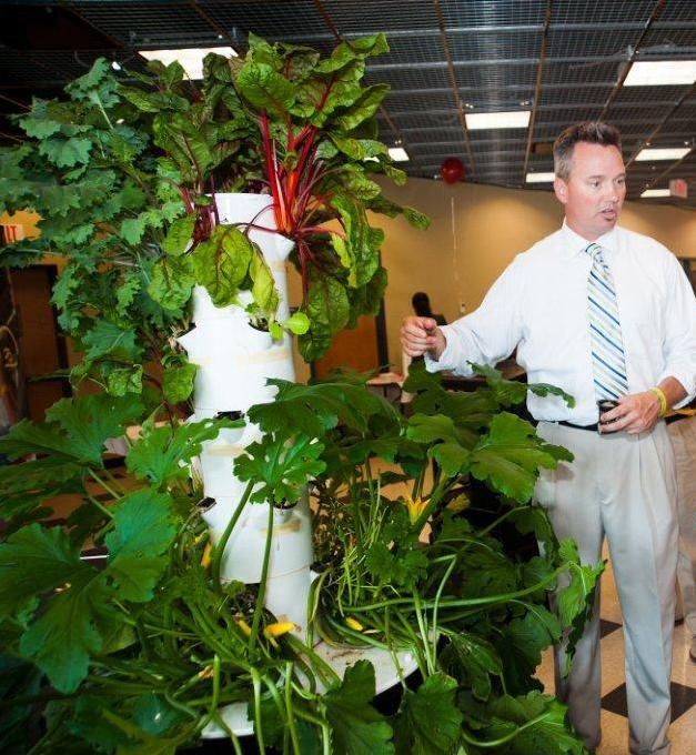 Aeroponic Tower in Full Bloom