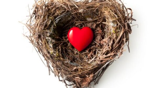 Small red heart in a bird's nest