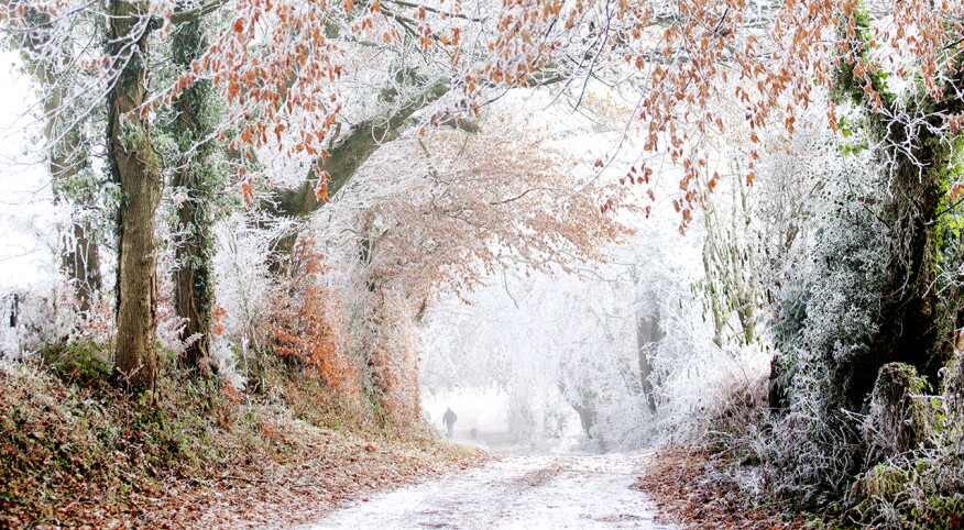 Rural winter scene with heavy frost covering a country road.