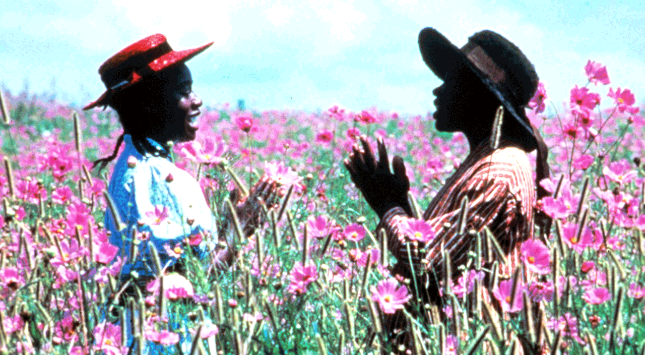 photo gif of the color purple, beaches, and 9 to 5 movies
