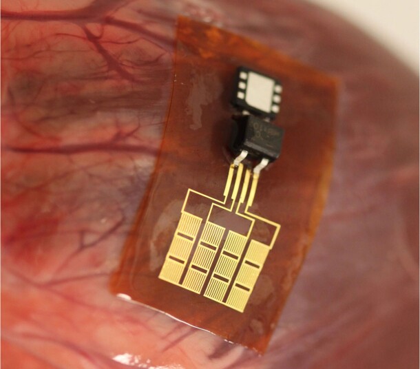 piezoelectric-nanoribbon_610x536