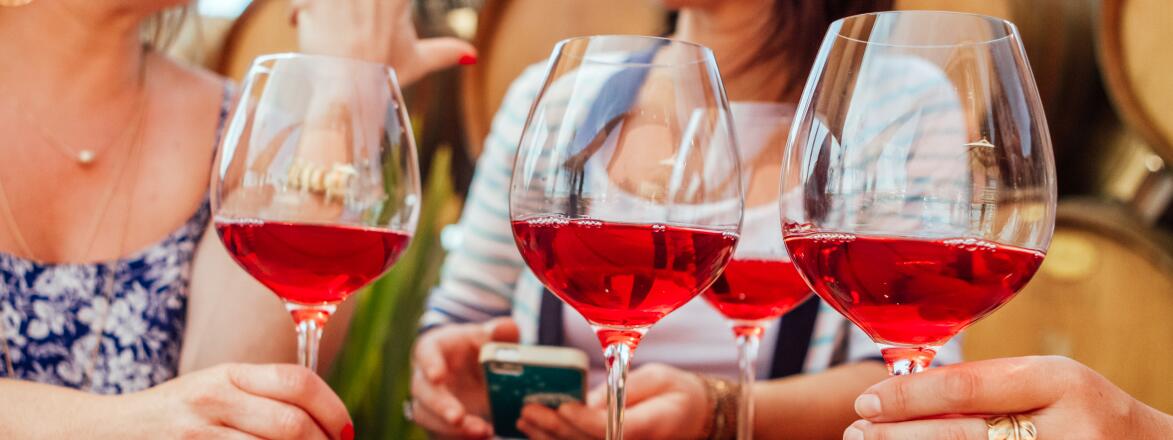 Women Talking And Drinking Rose Wine