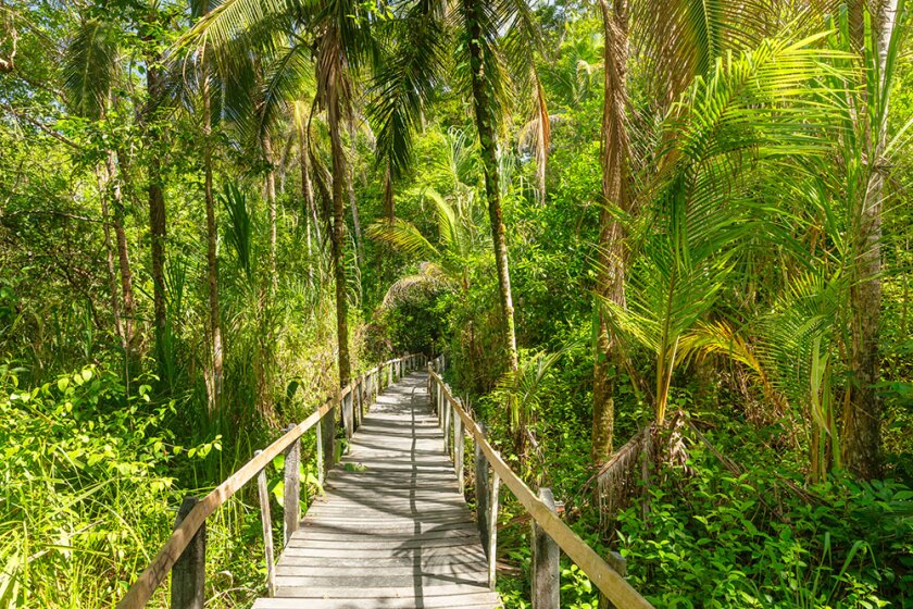 Costa Rica, Limón, Cahuita, Cahuita National Park