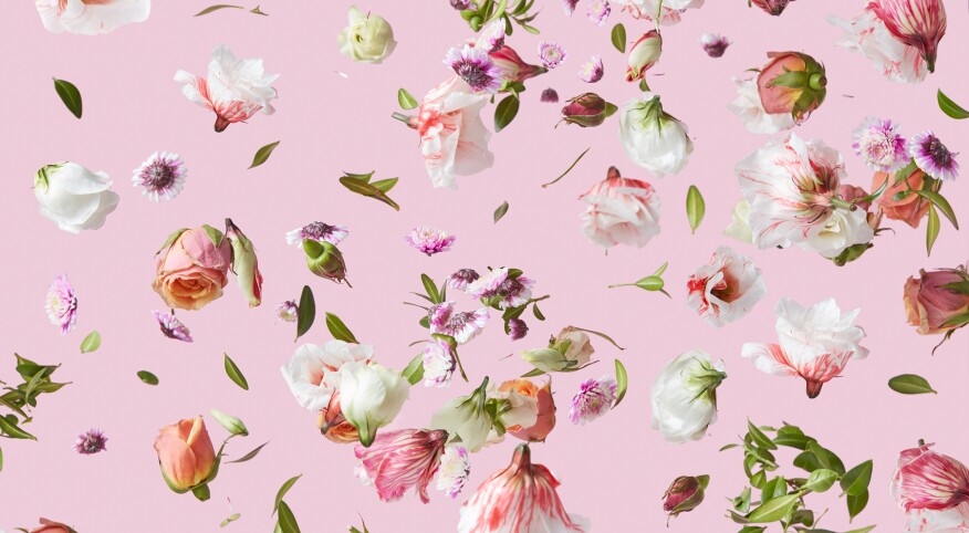 Flying Flowers Mix Background.