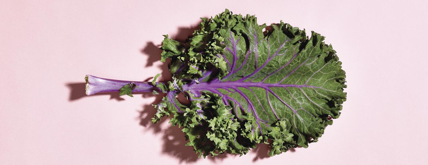 Piece of Kale for illustrating Superfoods for Skin