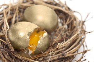 Nest Egg