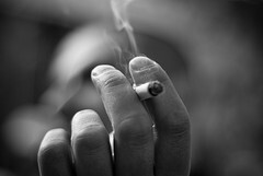 smoker3