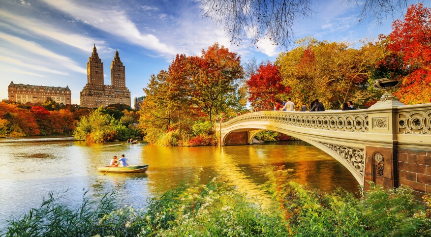 couple in row boat in the fall going under a bridge