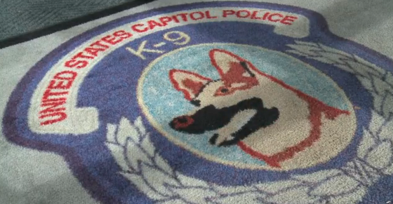 k9-capitol-police