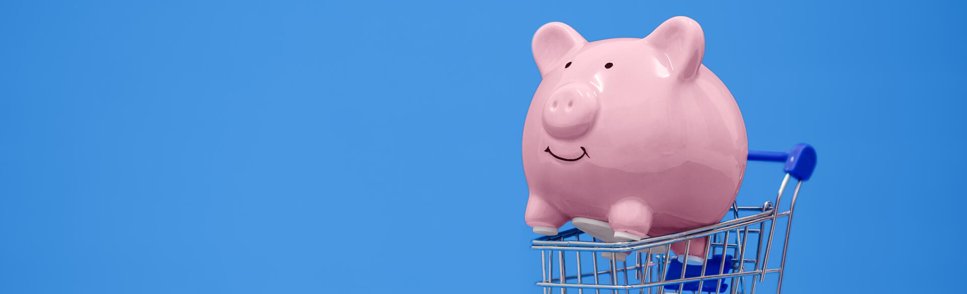Piggy Bank Inside Shopping Cart on a blue background