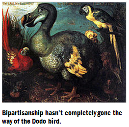 Dodo Bird A1 updated