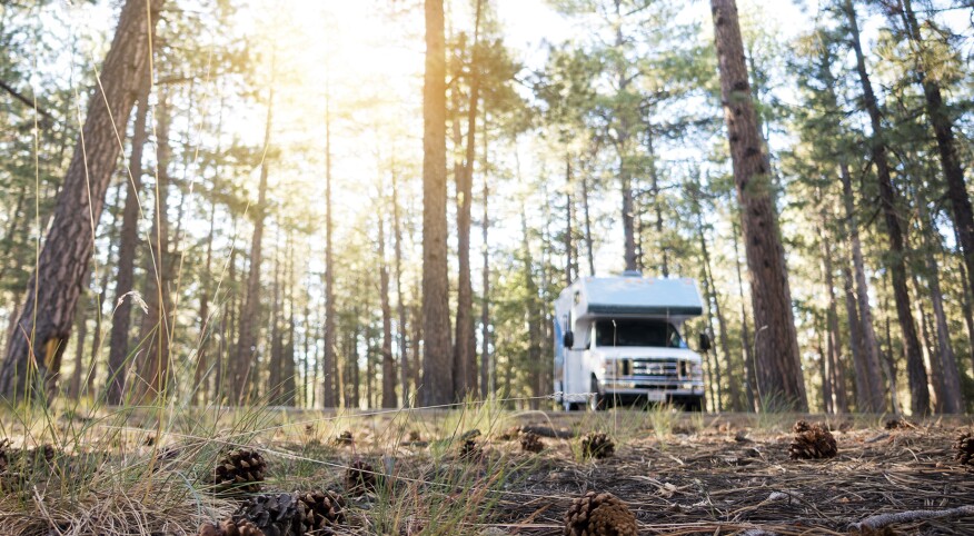 RV Park in the Wilderness Area with Pine Cones in the Foreground During Sunrise