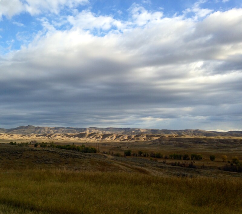 WY