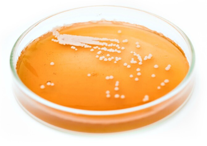 iStock_000016297490Small_c