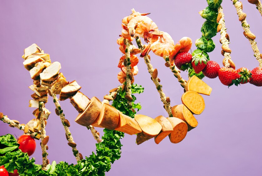 DNA sculpture made from various foods including tomatoes, grilled chicken, sweet potatoes, kale, quinoa, almonds, pumpkin seeds, shrimp, etc.