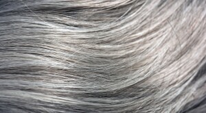 Close-up of gray strands of hair