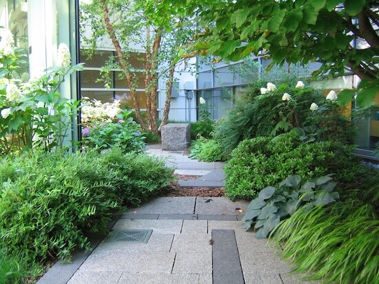 How healing gardens help patients and families