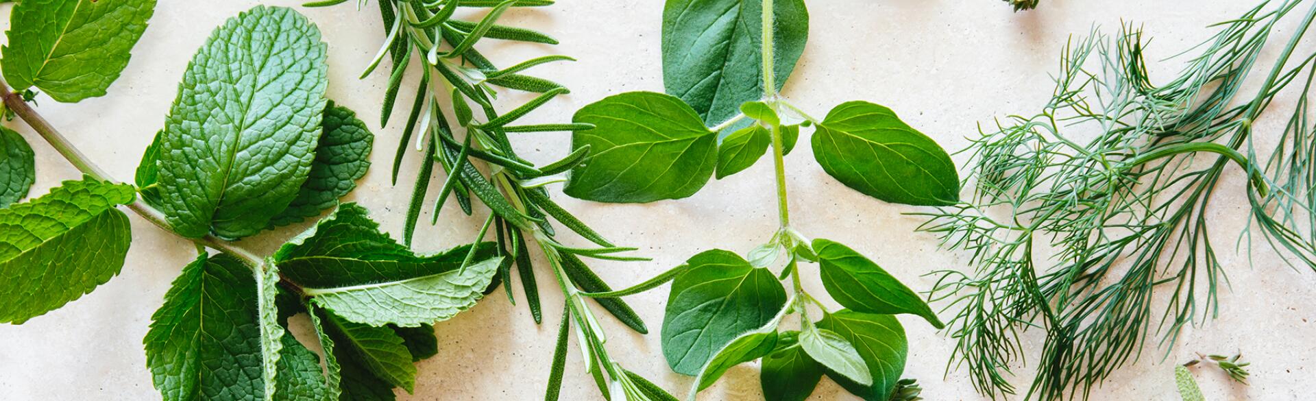 Various Herbs On Marble with scissors