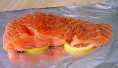 salmon foto