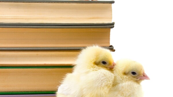chicks-books