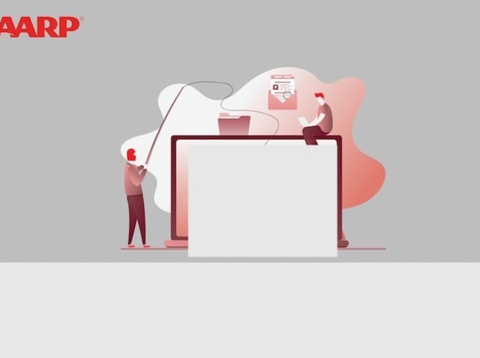 Fraud Basics: The Scam Landscape