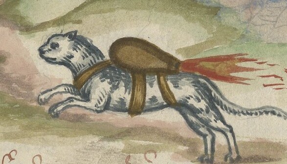 rocket-cat-detail