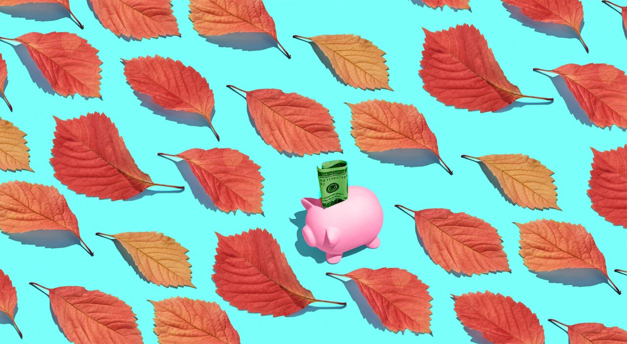 Composite of a piggy bank with money amongst a group of leaves on a teal background