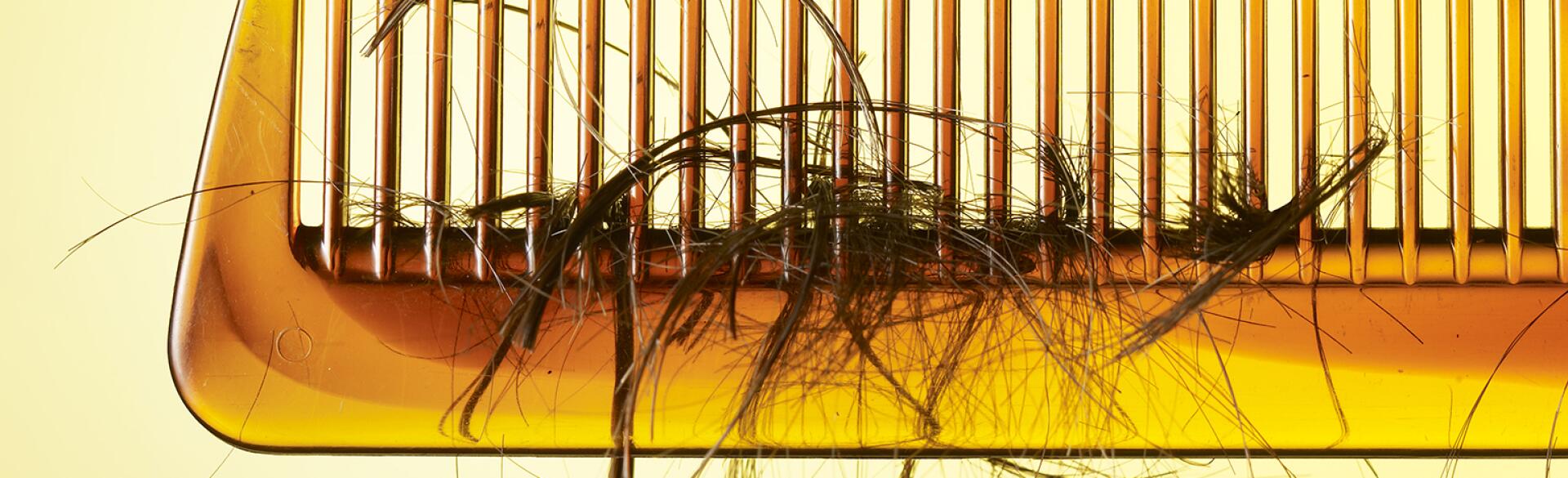 Comb with loose hair tangled in it