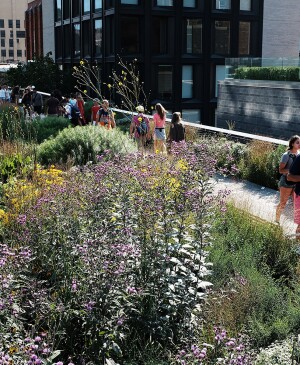 image_of_people_walking_on_High_Line_New York_GettyImages-829456162_1800