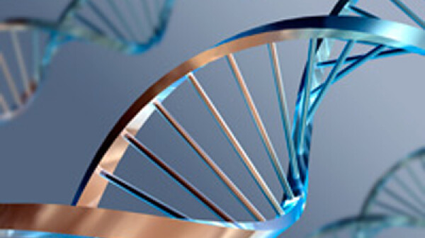 Picture of double helix
