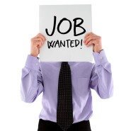 Job wanted