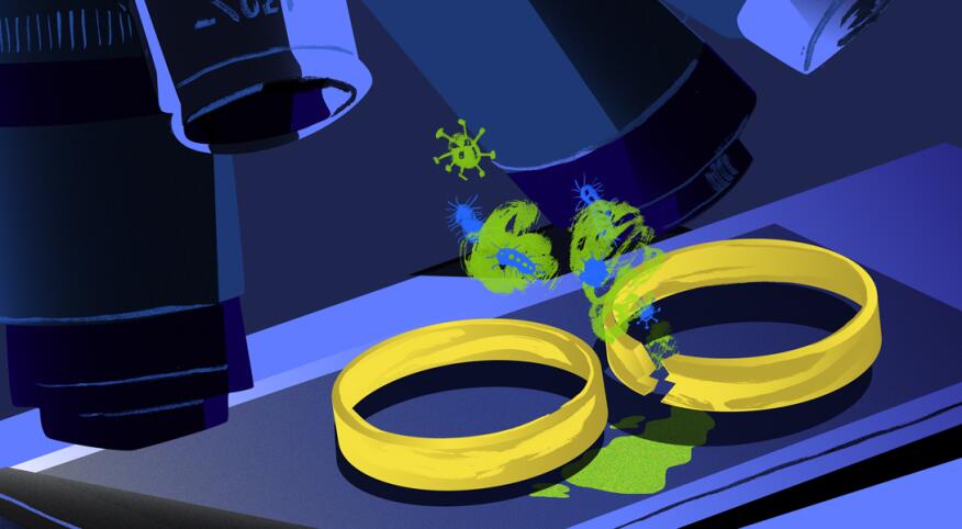 illustration of microscope analyzing wedding rings and hpv virus