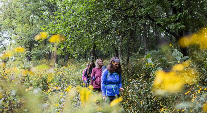 group of women walk in the forest