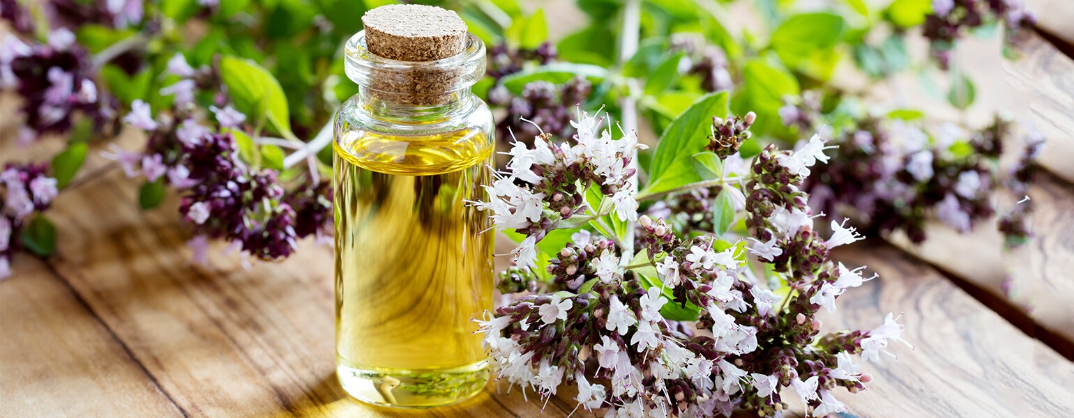 Essential Oils, AARP, the Girlfriend, Thyme Oil, Oregano oil, cinnamon oil