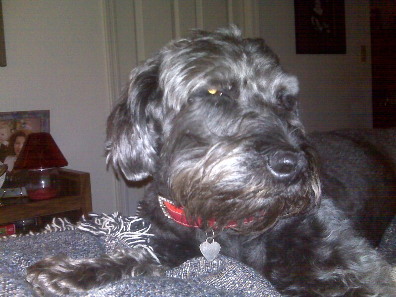 Jackson 12-31-08